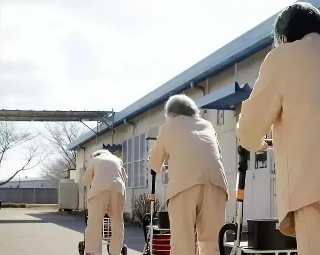 PG电子日本白叟抢着进牢狱养老偷车只为住牢房背后使人震动